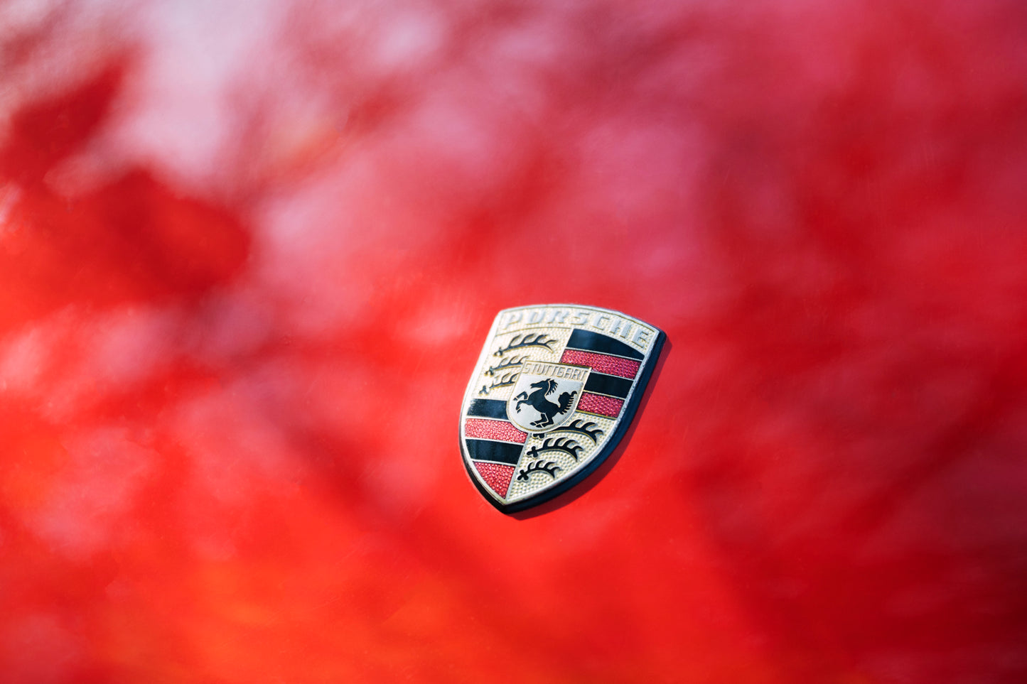 Porsche logo. 1979 Porsche 930 Turbo 3.3 Litre.