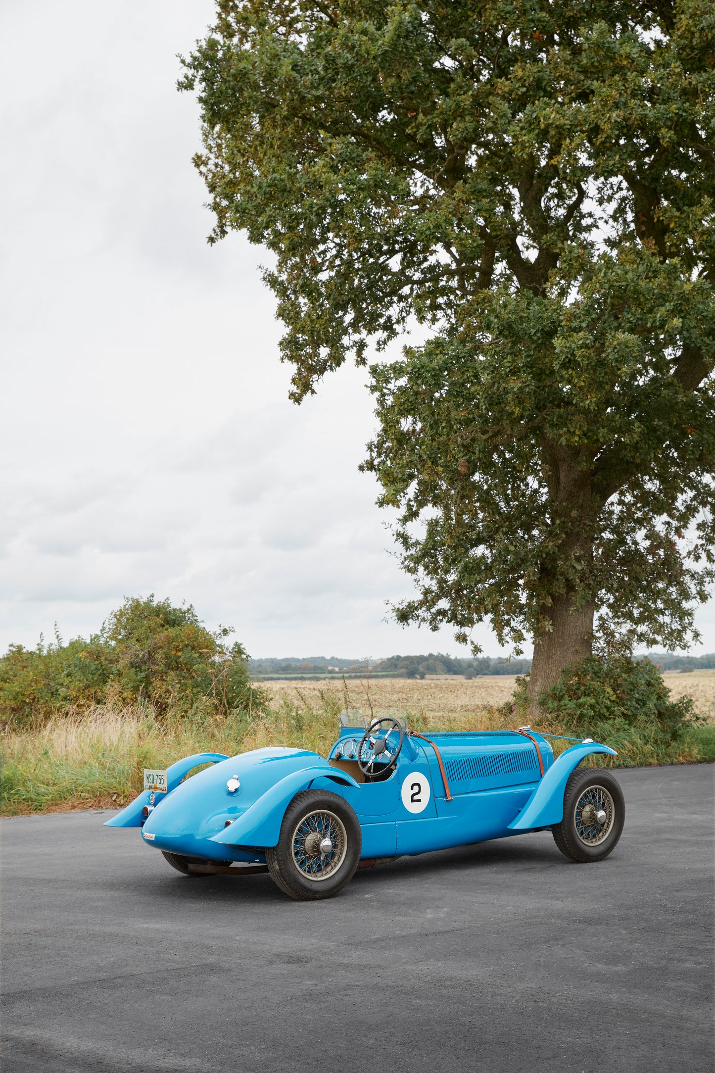 1938 Delahaye 135 Competition Special Tribute